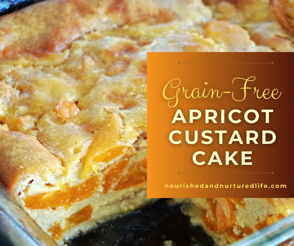🍑🥚🧈GRAIN-FREE APRICOT CUSTARD CAKE: Here's a recipe to make the most of summer's bounty, loaded with healthy fats and protein. https://www.nourishedandnurturedlife.com/post/apricot-custard-cake