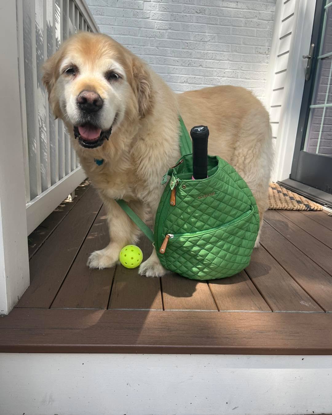 Clive heard there would be pickleball, cornhole, and new friends at the KG25 Pickleball & Cornhole Social on July 25th!
He's all ready to go! Are you?! Sign your team up today at the link in our bio 🔗