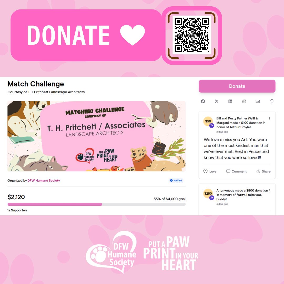 We're halfway there! 🐾🎉 Thanks to the incredible generosity of our supporters, we've officially reached 50% of our Matching Fund Challenge goal!
Every donation helps provide food, medical care, enrichment, and second chances for the dogs and cats in our care. And thanks to our matching donor, every dollar you give goes twice as far.
We're so grateful for everyone who has donated so far. If you'd like to help us cross the finish line and unlock the full match, there's still time to make a difference for shelter pets in need. 🐶🐱✨
🔗givebutter.com/match-challenge-DFWHS