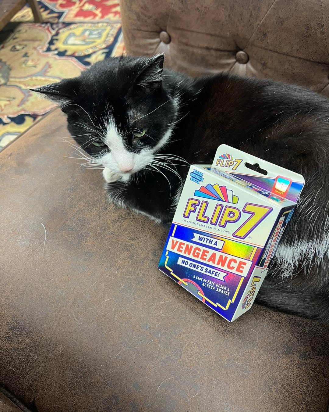 Moon’s favorite card game has a new version and it’s here with a vengeance! Come pick up your copy of Flip7 Vengeance today at ROUNDTABLE GAMES. Maybe you can get a game in with moon, but be careful he plays to win. Come see us soon and experience the ROUNDTABLE difference for yourself!