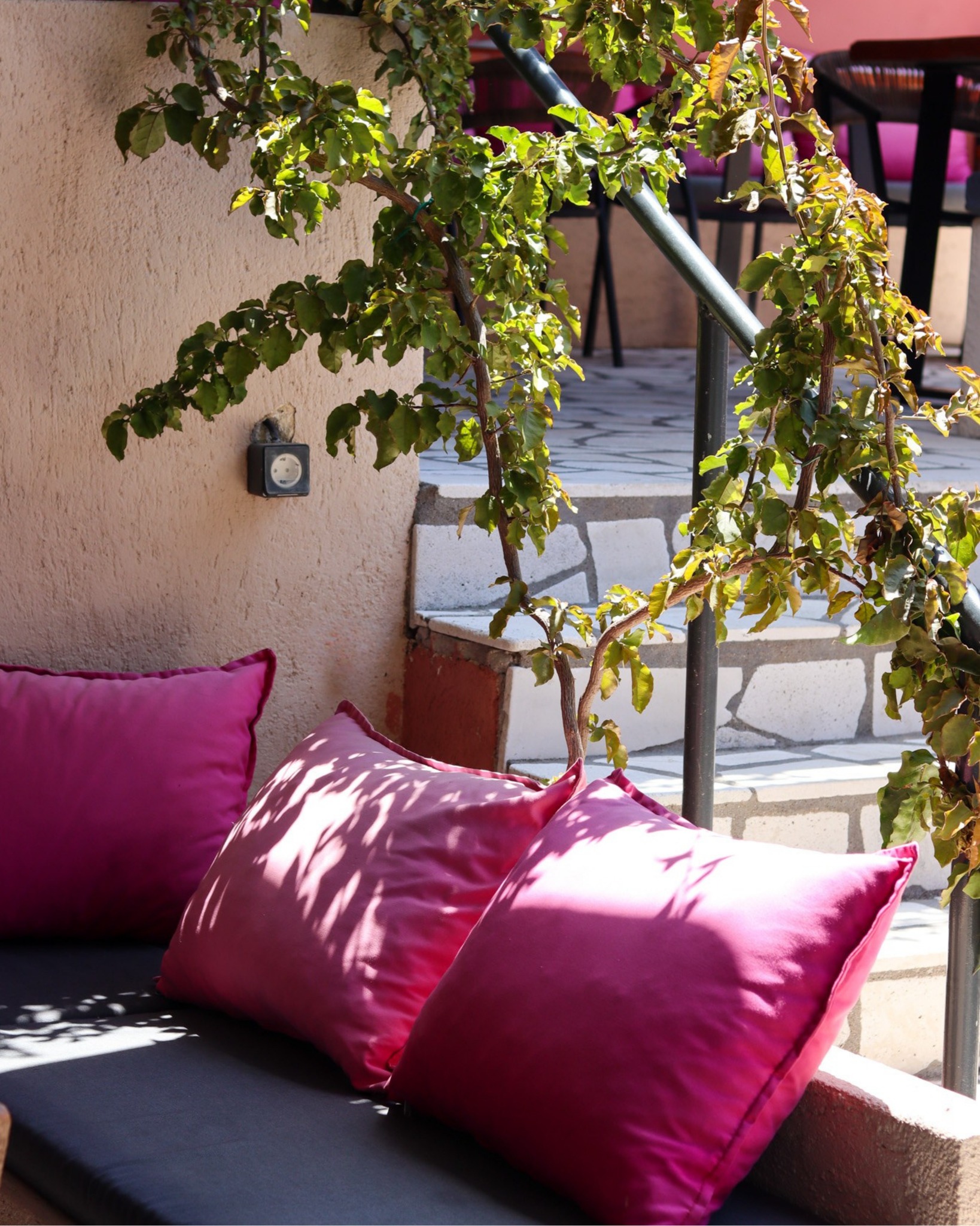 A garden made for slow summer moments. 🌺
Hidden in the heart of Assos, 3 Wise Monkeys welcomes you with fresh flavours, colourful cocktails, and relaxed island vibes.
Join us from 14:00. 🙈
#3wisemonkeys #assos #kefalonia #restaurant #bar