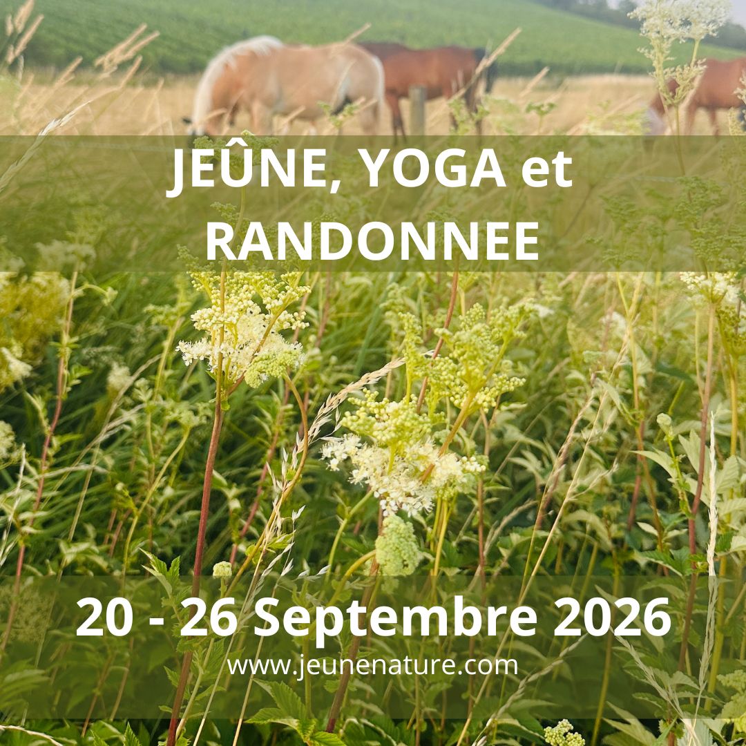 Stage Jeûne • Yoga • Randonnée
En septembre, offre-toi une pause pour te reconnecter à l’essentiel.
Un petit groupe, une ambiance douce et bienveillante, au cœur de la nature.
Respirer, bouger, se retrouver… simplement.
Places limitées