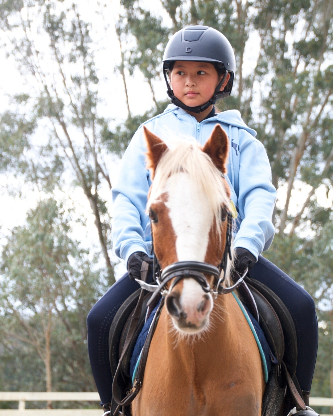 🚨 Holiday Program almost full!
Families come back every holidays for a reason — supportive coaches, calm spaces, and school horses who build confidence naturally.
And your child can experience it too… if you get in quickly.
☎️ 0475000088
📧 info@valleyparkriding.com.au
👩💻 https://www.valleyparkriding.com.au/holiday-programs
📩 DM for further questions
#melbournehorseriding #schoolholidayfun #schoolholidayactivities #learntoride #schoolholidaysinmelbourne #winterschoolholidayactivities