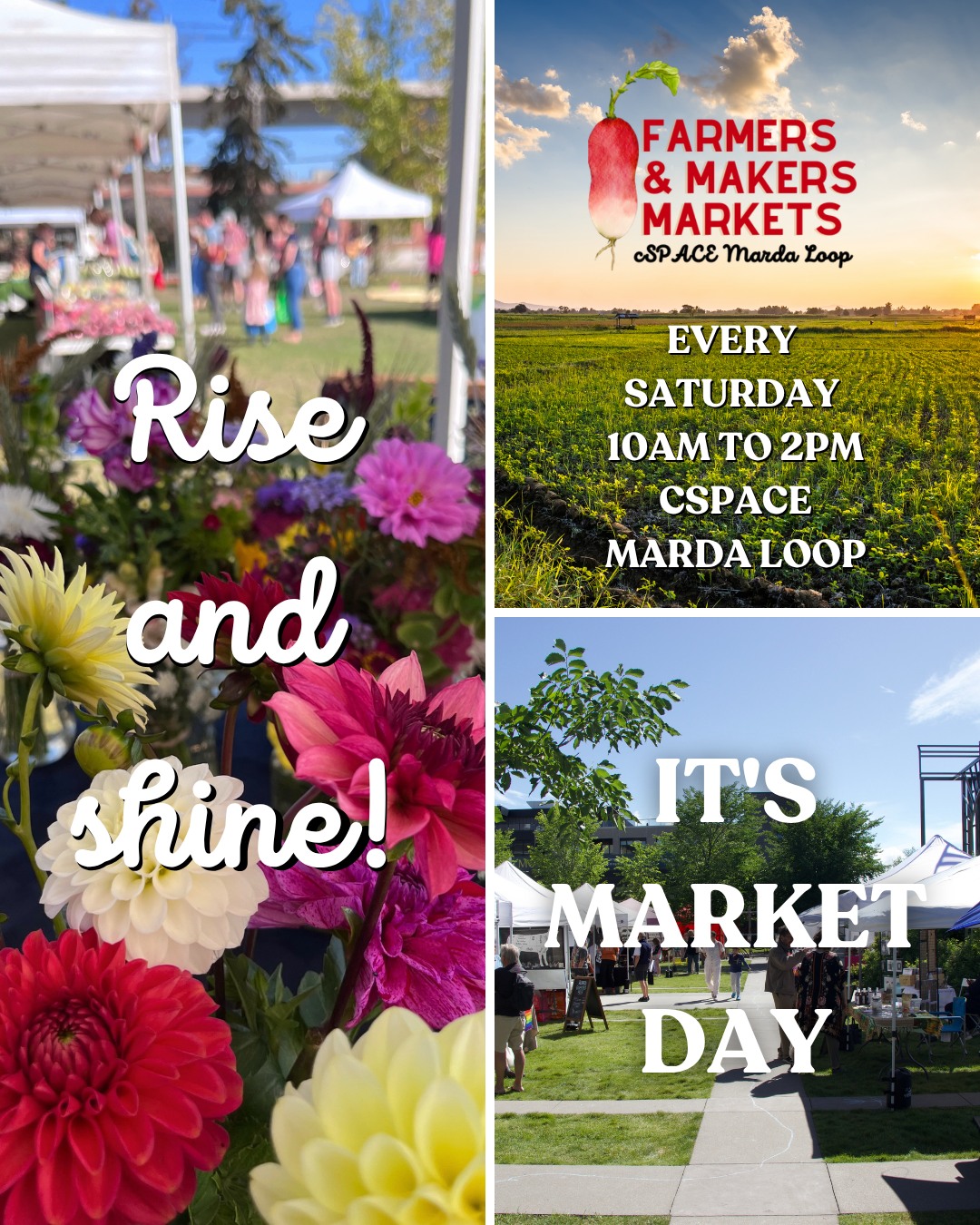 Good morning, neighbours! The tents are pitched, and the Farmers' & Makers Market is officially coming to life.
If your perfect Saturday morning involves fresh-baked pastries, locally roasted coffee, and stocking up on the absolute best Alberta-grown produce and handmade goods, this is your sign to grab your favourite reusable tote bag and head on down.
We are fully set up and ready to welcome you until 2:00 PM today. Come support your local farmers and makers, say hi to a friend, and enjoy this gorgeous morning with us!
📍 cSPACE Marda Loop (1721- 29 Ave SW.)
⏰ 10:00 AM – 2:00 PM
See you soon! 👋✨
@cspace.mardaloop @whatsgoodcalgary @calgarychamber @tourismcalgary
#shoplocalyyc #farmersmakersmarkets #yycevents #mardaloop #yycnow #YYC #buyalberta #farmersmakersmarket