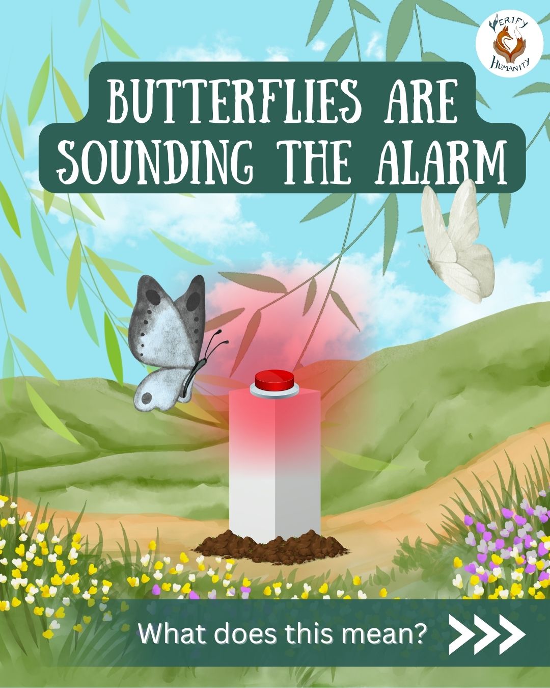Butterflies are indicator species, and they’re telling us something important. 🦋
Because butterflies rely on specific plants, habitats and clean, connected landscapes, they respond quickly to environmental change. When butterfly numbers fall, it’s often an early warning that ecosystems are under pressure.
If we listen to butterflies, they show us how to protect nature more effectively and where recovery can still happen.
📚 Source: Gov.Uk: Insects of the wider countryside (butterflies)
#butterflies #environment #wildlife #conservation #nature