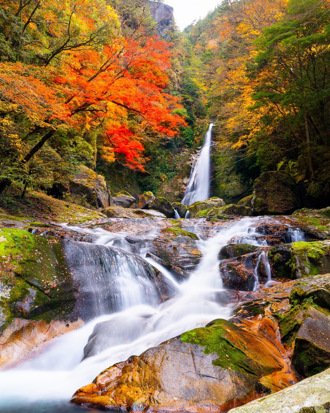 Japan's waterfalls hit differently in autumn. One moment you're hiking through a quiet forest, the next you're standing in front of rushing water framed by brilliant reds and golds. I love slowing down, experimenting with shutter speeds, and seeing what the season gives me. Can't wait to be back chasing waterfalls and fall color again this year. #JapanWaterfalls #AutumnInJapan #LandscapePhotography #NaturePhotography #JapanTravel