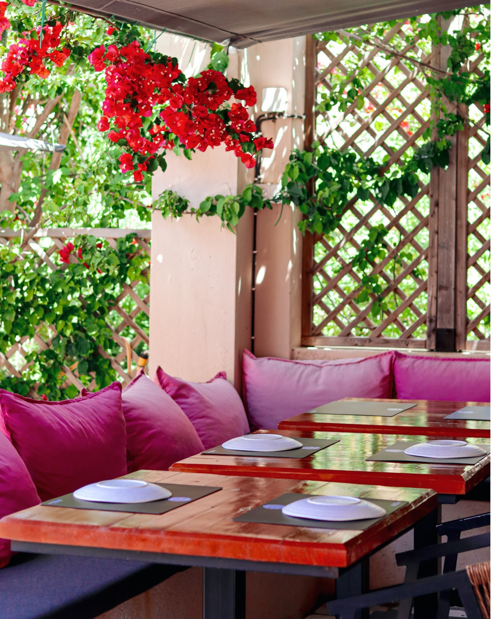 A peaceful little spot, made for slow summer moments.🌺🍹
Take a seat, relax, and enjoy the colours, flavours, and easy vibes of 3 Wise Monkeys.
Find us in beautiful Assos, Kefalonia.
#3wisemonkeys #assos #kefalonia #restaurant #bar