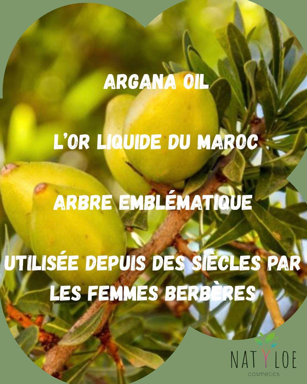 🌿 Le secret d’une peau naturellement éclatante
🇲🇦 l’huile d’argan, l’or liquide du Maroc
L’huile d’argan est extraite des amandons du fruit de l’arganier, arbre emblématique du sud-ouest marocain.
Utilisée depuis des siècles par les femmes berbères, elle est aujourd’hui reconnue dans le monde entier pour ses propriétés cosmétiques exceptionnelles
Un concentré de nutrition
L’huile d’argan naturellement riche en acides gras essentiels
Elle aide à nourrir, assouplir et protéger la peau tout en contribuant à préserver son élasticité.
🌸 Le pouvoir du Géranium Bourbon est Tonifiant et équilibrant
Apprécié en cosmétique naturelle pour son parfum délicat et ses propriétés tonifiantes, le Géranium Bourbon apporte fraîcheur et confort à la peau.
Il contribue à une sensation de peau revitalisée et lumineuse
💧 l’Aloe Vera apporte Hydratation et douceur. Il est reconnu pour :
✔ Hydrater la peau
✔ Apaiser les sensations d’inconfort
✔ Contribuer à maintenir la souplesse cutanée
Un allié incontournable des peaux en quête de confort et de fraîcheur
🌿 La synergie des actifs pour une formule équilibrée
Huile d’argan + Géranium Bourbon + Aloe Vera :
✨ Nourrit
✨ Tonifie
✨ Hydrate
✨ Aide à préserver la fermeté de la peau
Une combinaison végétale pensée pour accompagner les peaux matures.
Pourquoi choisir la crème visage Natyloe Cosmetics ?
💚 Naturelle, bio et artisanale
✔ 99,1 % d’ingrédients d’origine naturelle
✔ 90,6 % issus de l’agriculture biologique
✔ Fabrication artisanale française
✔ Pot en verre recyclé
Une approche respectueuse de votre peau et de l’environnement.
✨ Offrez à votre peau le meilleur de la nature
Une routine simple pour une peau douce, confortable et rayonnante.
Découvrez toute la gamme sur le site
Natyloe Cosmetics lien en bio
#HuileDArgan #AloeVera #GeraniumBourbon #CosmetiqueBio #CosmetiqueNaturelle #Soin #MadeInFrance
Surjushe, A., Vasani, R., & Saple, D. G. (2008).
Ghannadi, A., et al. (2012).
Gharby, S., & Charrouf, Z. (2022).
El Monfalouti, H., Guillaume, D., Denhez, C., & Charrouf, Z. (2010).
Hamman, J.H. (2008).
Balabanova, V., Zheleva-Dimitrova, D., & Gevrenova, R. (2025).
Amel, H.A., et al. (2022).