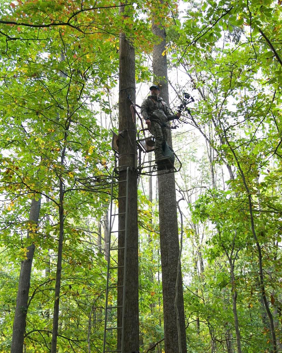 October mornings hit different
#huntingseason #bowseason #whitetail #treestand