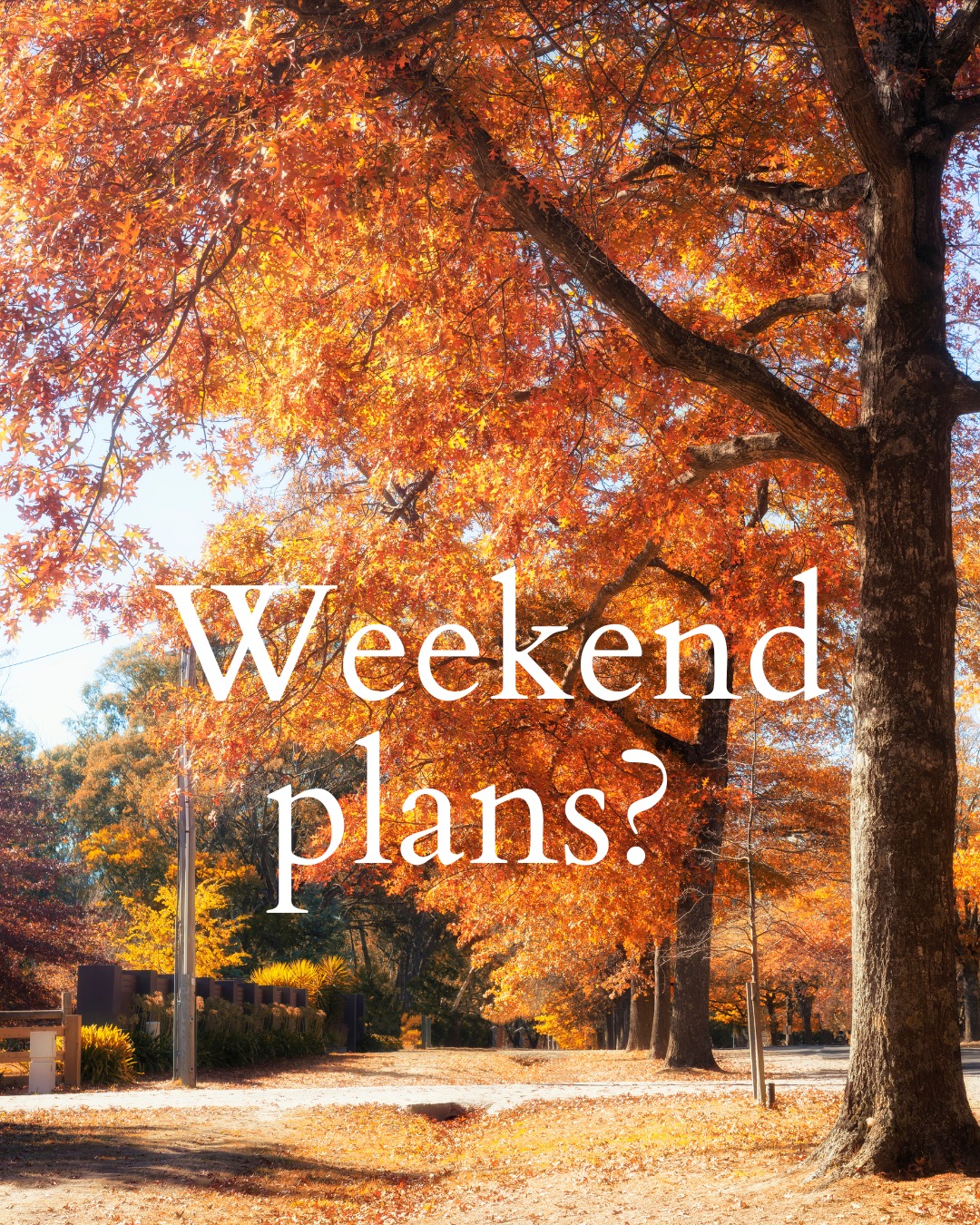 Here's an idea...
While you're dreaming about your next getaway this weekend, imagine if travel wasn't just your passion—it was your profession.
As a travel agent, you can enjoy flexibility, exciting opportunities, and the satisfaction of helping others create unforgettable holidays.
If you've been looking for something new, we'd love to show you what's possible.
📩 Message us to learn more.