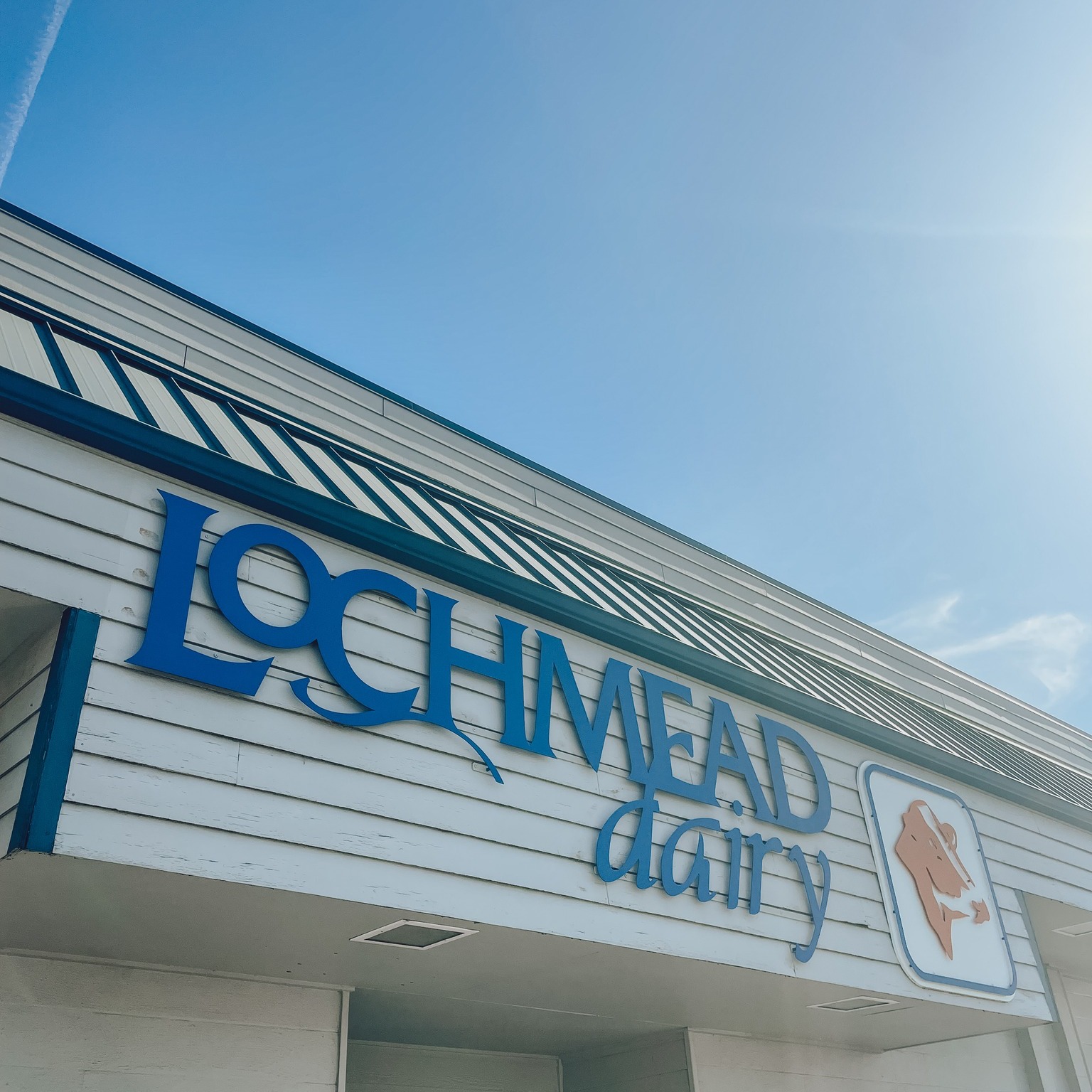 Local’s proudly uses Lochmead milk and cream in our products everyday! 🐄🥛
Lochmead Dairy is a locally owned family farm in our very own Junction City. The Gibson family started the dairy to control the quality of their dairy products.
A few fun facts about Lochmead:
✨It is 4 miles from their dairy to their creamery.
✨Time span from cow to carton is only 48 hours!
✨70% of their feed ration is grown on their own farm.
✨They convert cow waste or manure into electricity, producing enough to roughly power 300 homes daily!
✨The family also opened a convenience store called Dari Mart to sell their products; there are now over 40 stores open today!
Thank you @lochmeadfarms for providing quality products!