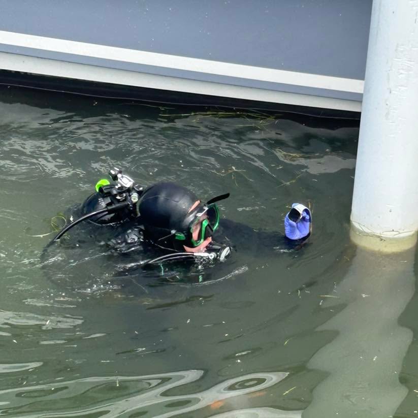 Diving for Brad’s Apple Watch. It fell in the water next to his boat the previous day. Many of them are rated for diving, so this one was fine in the water overnight.
.
.
#recoverydiving #lakestclair #greatlakesstate #detroitriver #stclairshores #clintonriver #harrisontownship #boattown #algonac #stclair #metrobeach #michiganboating #puremichigan #michiganmarinas #metaldetector #safeharbormarinas #boatmichigan
