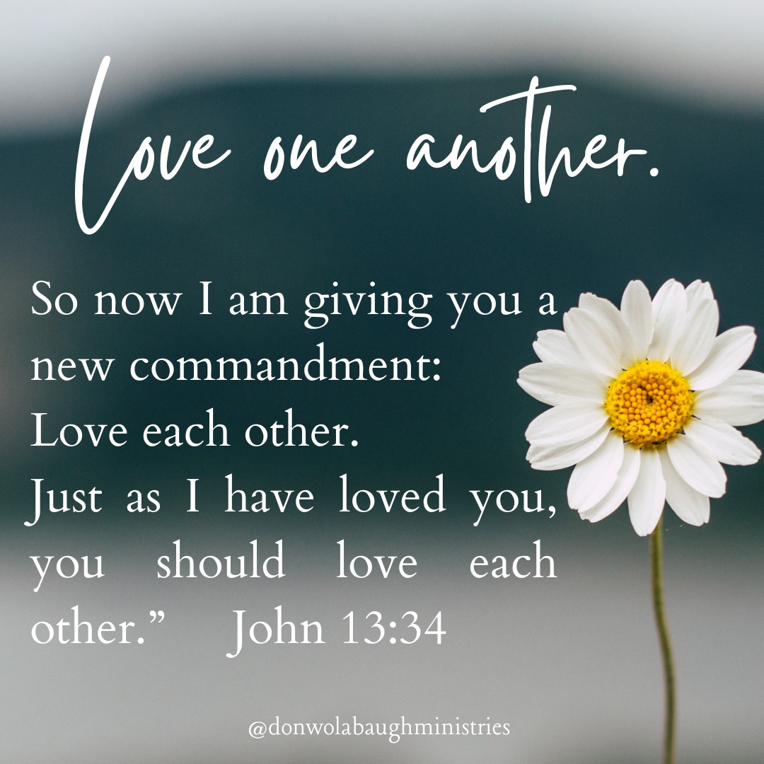 Love is the fruit Christians bear.