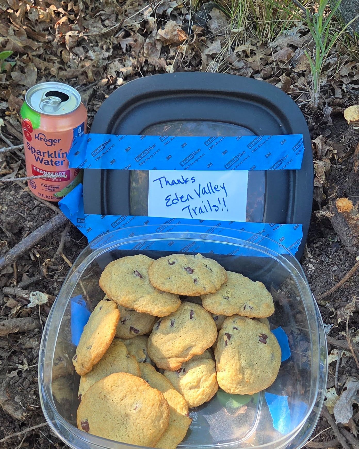 Sometimes it's the little things that make trail building worth it 🌲— cool temps, that first look at new trail in the morning, perfect and raked just right ✨, or cookies dropped off by a grateful trail user 🍪. Thanks, Julie!
Hope you all had a great day too ☀️