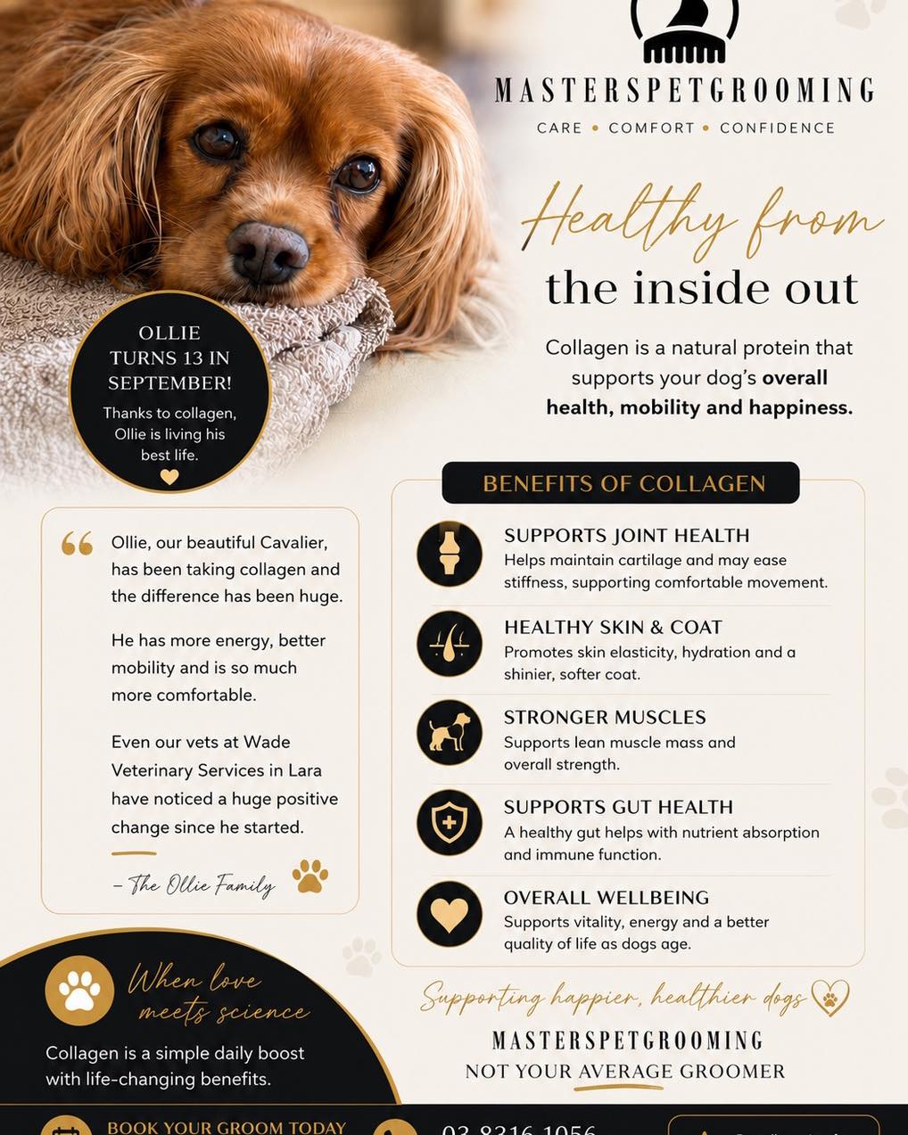 At Masters Pet Grooming you will find us talking about many things about your dog, including their health! Beneficial supplements are often overlooked, and these can be something as simple as an additive or topper to their meal. This month i’d like to highlight the benefits of Collagen. #petstylist #dogsalon #dogsofinstagram #petgrooming #dogs #dogstagram #dog #petstagram #doglover #stylist #melbournedogs #MPG #masterspetgrooming #pointcookbusiness #pointcook #collagen #joint #health #jointhealth #seniordogs #seniordogsofinstagram #seniordogsrule
