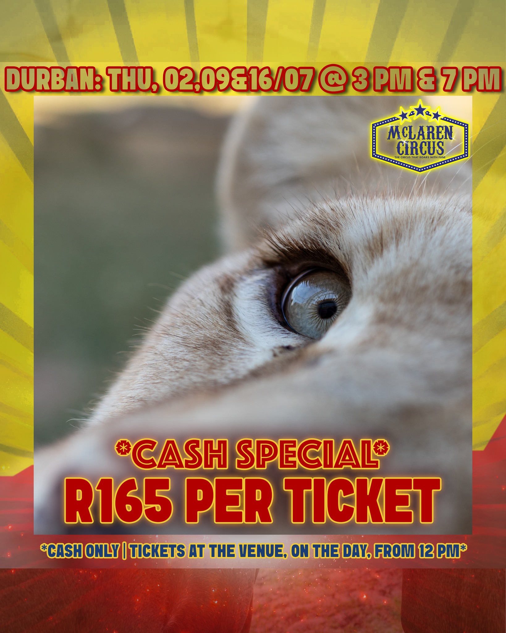 🤹♂️ SPECIAL: Any seat, only R165 each! 🎟️✨
🎪 Step right up to the greatest show in #Africa!
Only valid:
📅 Thu, 02 July 2026 @ 3 PM & 7 PM - #DURBAN
📅 Thu, 09 July 2026 @ 3 PM & 7 PM - #DURBAN
📅 Thu, 16 July 2026 @ 3 PM & 7 PM - #DURBAN
🎟️ Hurry, these seats are unreserved and sell fast! Tickets are CASH ONLY and are available, at our ticket office, from 12 PM on the show day.