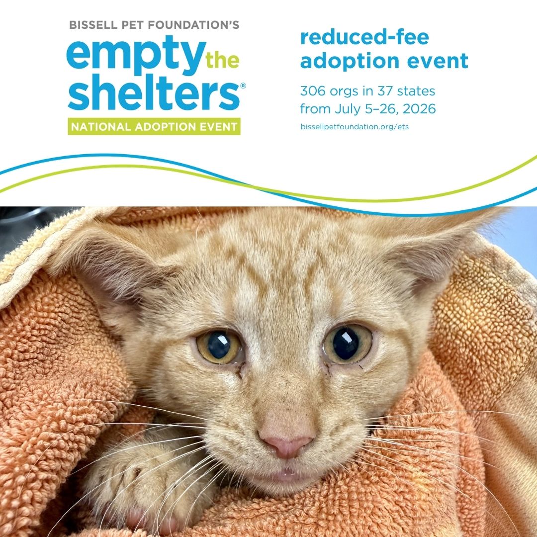 Empty the Shelters is on!
We are open 12-5 today—offering pay-what-you-want adoption fees and matching pets with your family's lifestyle and personality.
Check out our website for the most up to date information on available pets.
If you have a dog at home and are looking to add to your pack, we facilitate dog-to-dog meet and greets.
All adoptions are first-come, best-match.
#EmptyTheShelters #adoptdontshop #fluvannaspca #rescuedismyfavoritebreed