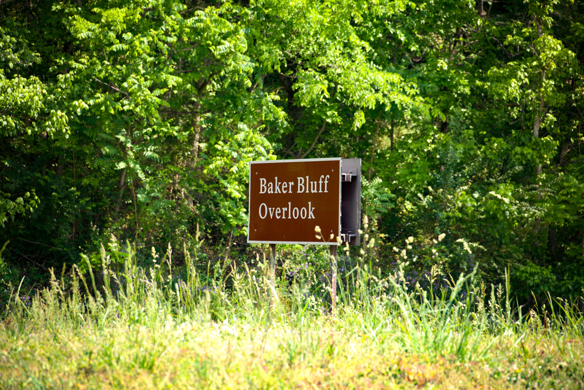 It's a sight seeing summer in Natchez Valley. Baker Bluff offers one of the best scenic views along the entire Natchez Trace Parkway. 🥾🌳
📍 Natchez Trace Parkway