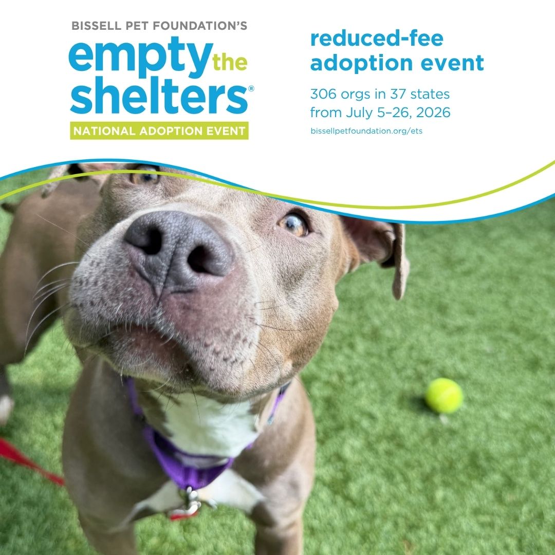 Empty the Shelters in going on now at Fluvanna FSPCA!
We are offering pay-what-you-want adoption fees—if you've been thinking about adopting, this is a great time to come and get matched with your new best friend!
All adoptions are first-come, best-match. Our staff are experts at finding you the right pet to match your lifestyle and personality. Check out our website, FSPCA.org, for the most up to date information on our available pets.
#EmptyTheShelters #fluvannaspca #rescuedismyfavoritebreed #adoptdontshop