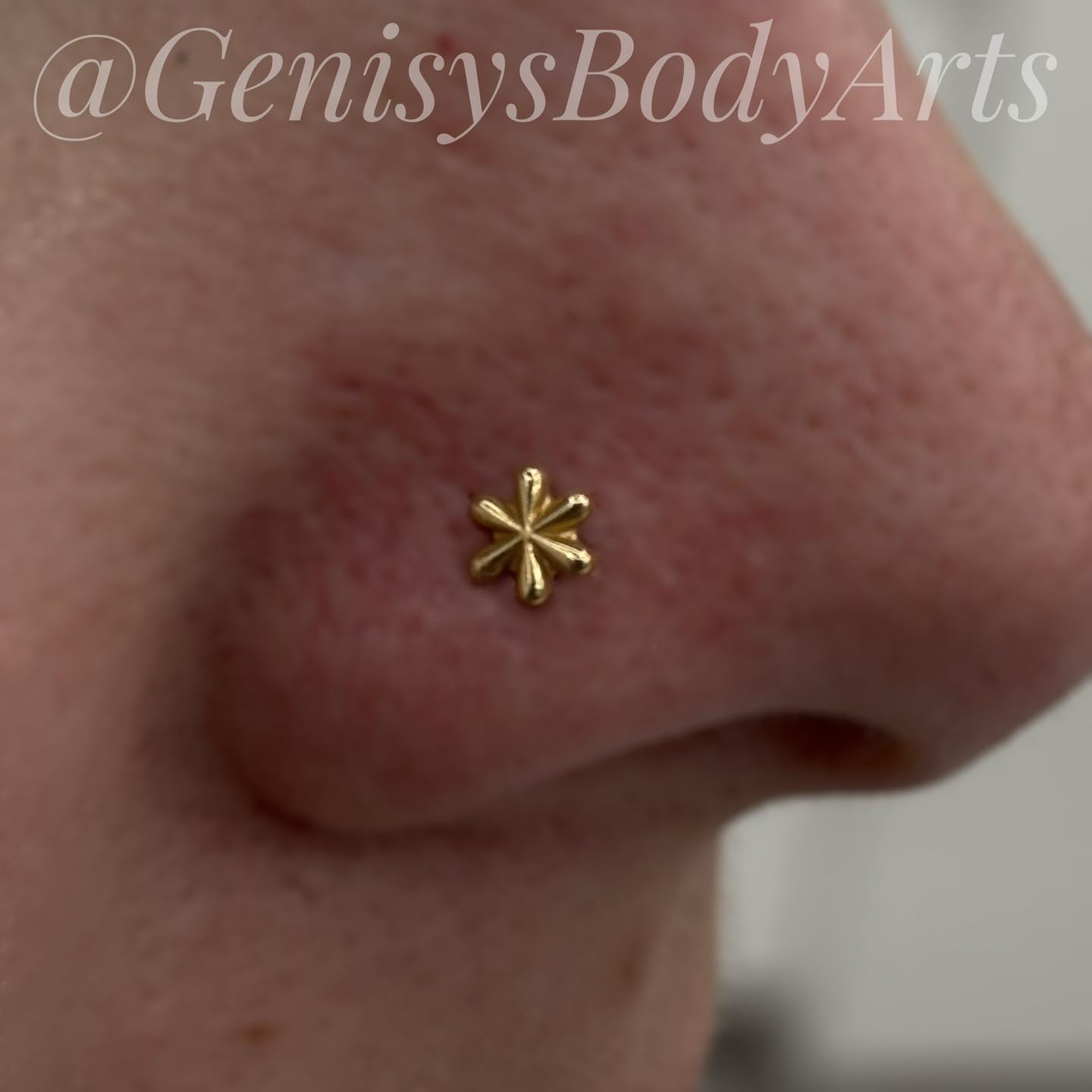 Some flowers last a week. This one lasts a lifetime. 🌼💛
Stop in and mention this post to get your piercing fee waived on solid gold jewelry! Limit one per person.
#nostrilpiercing #goldgoals #pittsburgh #pittsburghpiercer #genisysbodyarts