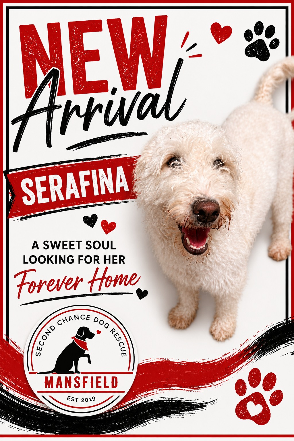 NEW ARRIVAL ALERT! 🐾✨
Big smile, happy heart, and major doodle energy coming in hot!
This sweet girl is 1.5 years old, 46 lbs, and just as joyful as can be. She is the kind of happy that makes everyone around her smile — bouncy, fun, friendly, and ready for her next chapter.
One thing is for sure… this girl is going to make someone’s life a whole lot brighter. ❤️
Help us welcome this beautiful new arrival!
Apply to adopt: www.scdrm.com/adopt 🐶
#LikeAndShare #rescuedismyfavoritebreed #adoptdontshop #RescueDogs #doglover #texas #doodles #doodlelife #doodlelove #wednesday