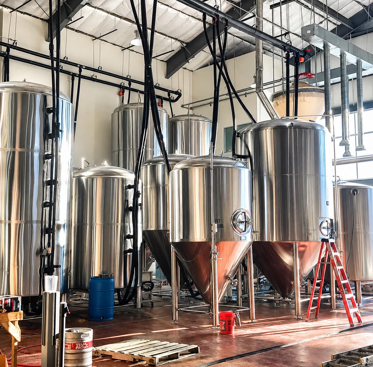 The best seat in the brewery isn't always at the bar. Sometimes it's behind the scenes.
Most people know Texas Ale Project as a place to gather with friends, catch a World Cup match, or enjoy a great beer. But before any of that, it started with a dream to build something Dallas hadn't seen since Prohibition.
Join us this Saturday at 1 PM for a behind-the-scenes brewery tour and see how that vision became Texas Ale Project.
You'll walk through the brewery with one of our experienced guides, learn how our beers are crafted from grain to glass, hear the story behind our brewery, and enjoy two guided craft beer tastings along the way.
When the tour wraps up, your Saturday is just getting started. Your tour includes reserved seating in the taproom, so you can settle in with lunch, another pint, and enjoy some World Cup Quarterfinal watching as 🇳🇴 Norway takes on 🏴 England at 4 PM
If you've ever wondered what happens behind those big stainless steel tanks, we'd love to show you.
Ticket link in bio or you can also purchase a ticket on our website. www.texasaleproject.com
