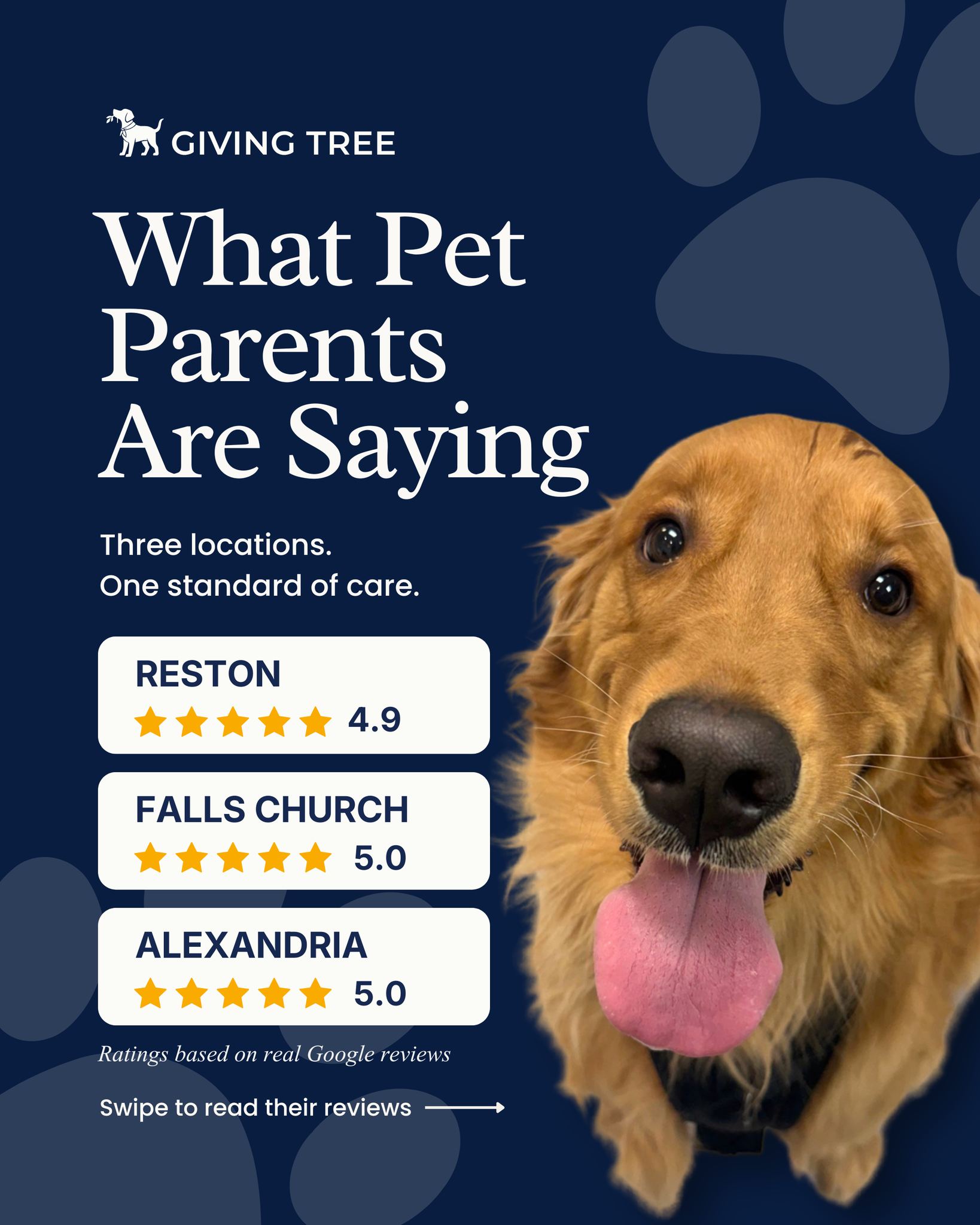 Three locations. One shared standard of care. ⭐
We’re grateful for every pet parent who trusts Giving Tree with their furry family members. Your kind words and continued support mean so much to our entire team.
⭐⭐⭐⭐⭐ 4.9 (547)— Reston
⭐⭐⭐⭐⭐ 5.0 (143)— Falls Church
⭐⭐⭐⭐⭐ 5.0 (142)— Alexandria
Swipe through to see what local pet parents are saying about their Giving Tree experience. 🐾
#GivingTreePetResort #DogLovers #PetCare #DogDaycare #DogBoarding #PetGrooming #RestonVA #FallsChurchVA #AlexandriaVA #NorthernVirginiaPets #Virginia