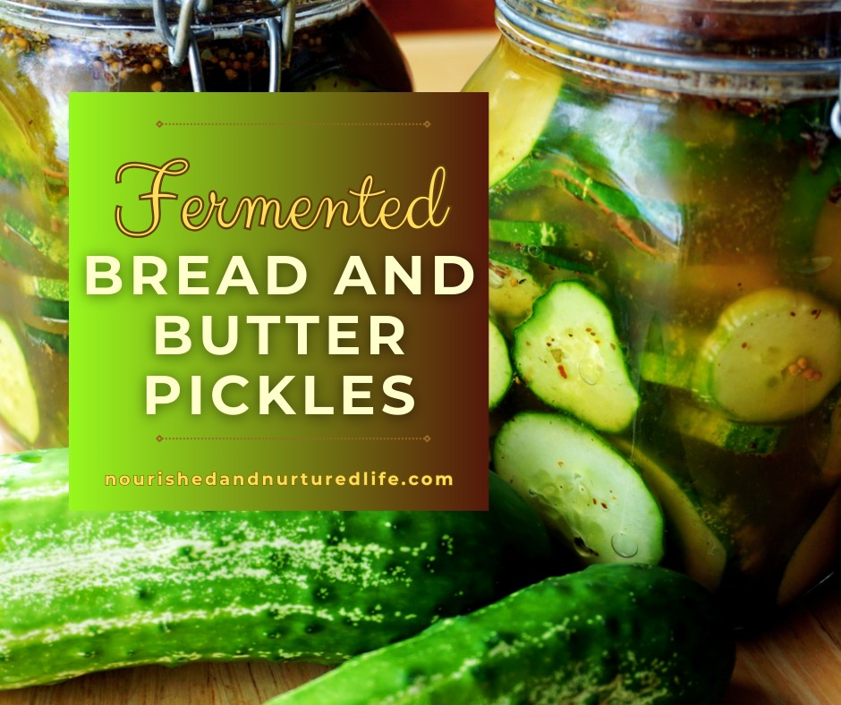 🥒🔪🥒FERMENTED BREAD AND BUTTER PICKLES: This recipe for bread and butter pickles is a great way to try fermented foods. Grown-ups love them, my kids love them, even people who don't typically eat fermented veggies love them. These pickles are crispy and delicious. Even if you've disliked every fermented veggie you've tried, give these a shot! These can be made with cucumbers, but also with zucchini or yellow squash.
INGREDIENTS:
*3-4 medium cucumbers (OR zucchinis or summer squash)
*1 tsp mustard powder OR 1 Tb yellow mustard
*~20 celery leaves, a stalk of celery, OR a 1/4 tsp of dried celery seed
*1/2 cup raw mild honey
*1/2 cup raw apple cider vinegar
*1.5 Tb celtic sea salt
*1 Tb mild pickling spice
GET THE FULL RECIPE HERE 👇👇👇: https://www.nourishedandnurturedlife.com/post/fermented-bread-and-butter-pickles