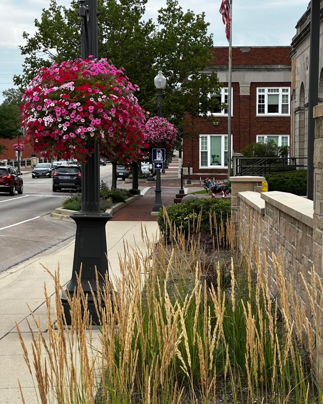 If you’ve been strolling through downtown Batavia lately, you may have noticed the beautiful hanging baskets lining the streets.
We’re proud to share that they were grown here at Spring Bluff Nursery!
It’s always an honor to help make our community a little more beautiful. Thank you, City of Batavia, for trusting us to grow them.
#greenhousegardening #greenhouse #hangingbasketsofinstagram #hangingbasketsgalore #hangingbaskets🌹🌷🌸🌺💐🌿🍃 #gardencenters #gardencenterlife #gardencenter #stcharlesillinois #genevaillinois #bataviaillinois #sugargroveil #oswegoil #stcharlesil #auroraillinois #genevail #oswegoillinois #bataviail #sugargroveillinois #aurorail #hangingbaskets