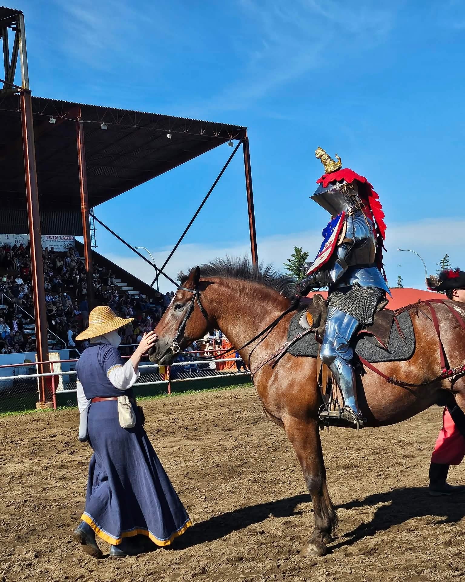 It's day three! Still time to come and see us at the Vegreville Medieval Faire!
#STALC #jousting #joustingtournament #horses #VegrevilleMedievalFaire2026