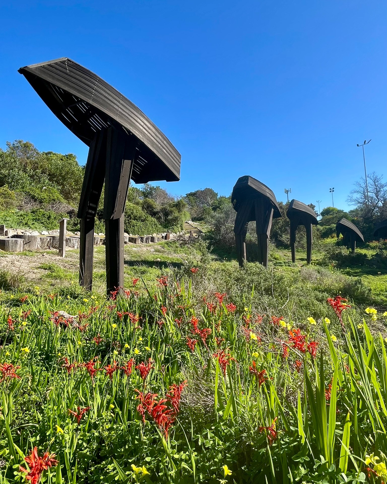 So wonderful to see our installation 'Progression' settling into its environment.
Crafted by artist @andrewmayart on the island using reclaimed materials, 'Progression' is a memorial and a celebration of the resourcefulness of the Kangaroo Island community and its maritime history.
It honours the residents who have made the isolation of the Island what it is today from their ancestors and families building the homes and infrastructure, to their descendants who maintain the Island’s way of life, and the new arrivals who wish to contribute to the uniqueness of finding a home on Kangaroo Island.
Made possible through the generous donations of a number of families as a way to honour the multi-generation connection to Kangaroo Island including:
Thomas Lashmar family, Margot Rosser, and Cath & Geoff Rischbieth, Jayne Bates Kym Smith & Holmes.
Interested in becoming a patron of the Kangaroo Island Sculpture Trail? Contact us for a chat about upcoming arts project.