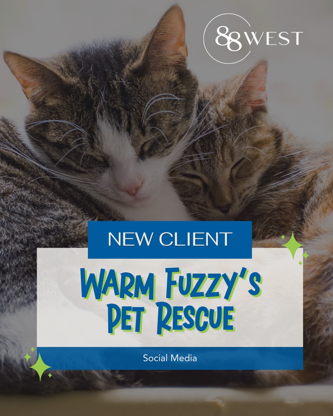 New Client Welcome: Warm Fuzzy's Pet Rescue 🐾
We're excited to partner with Warm Fuzzy's Pet Rescue, a Northeast Mississippi nonprofit, to help share the stories behind the happy purrs and second chances. ❤️ Through social media management, we'll be helping connect more adoptable pets with loving families while shining a light on the incredible work this foster-based, no-kill nonprofit does every day.
Their mission to rescue, educate, and advocate for animals is one we're honored to help amplify, and we can't wait to see the impact we can make together.
-
📞 662.205.0088
💻 88westagency.com
-
#88West #88WestAgency #NorthMS #MSGulfCoast #TupeloMS #MarketingAgency #DigitalMarketing #NewClient #SocialMediaManagement #WarmFuzzysPetRescue #PetRescue #AnimalRescue #AdoptDontShop #RescuePets #NonprofitMarketing