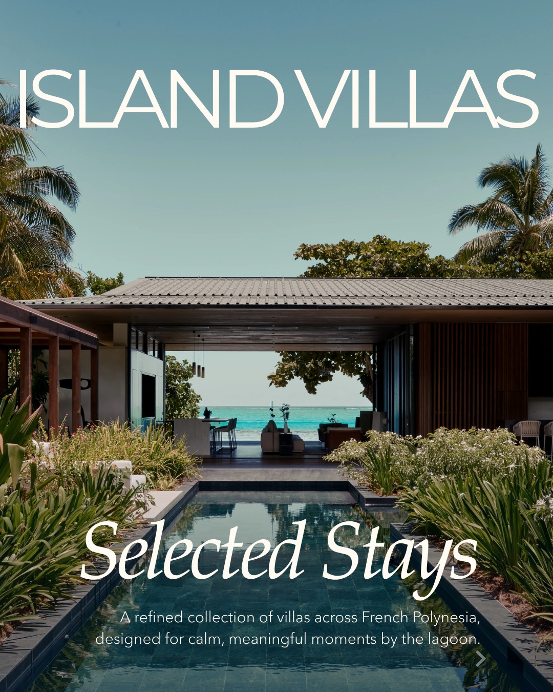 Hay villas y hay experiencias que cambian la manera de viajar para siempre.
Una selección de residencias de excepción, escogidas a mano, cada una con su isla, su luz y su silencio particular.
Porque el alojamiento no es solo donde se duerme: es donde el viaje toma su verdadero sentido.
Deslice para descubrir nuestras villas favoritas. 👉
✦
Some villas don't just offer a place to stay, they change the way you travel forever.
A hand-picked selection of exceptional residences, each with its own island, its own light, its own particular silence.
Because where you stay is not just where you sleep, it's where the journey finds its meaning.
Swipe to discover our favourite island villas. 👉
📷 @guypollock @noamgroup @thebrandoresort @lm_chabot @nukutepipi @motunaonao @oroparaoa
#MoemoeaTravel #PolinesiaFrancesa #FrenchPolynesia #IslandVillas #PrivateVilla #LuxuryVilla #BoraBora #Moorea #Tetiaroa #Nukutepipi #UltraLuxury #BespokeTravel #LoveTahiti #ExclusiveStay