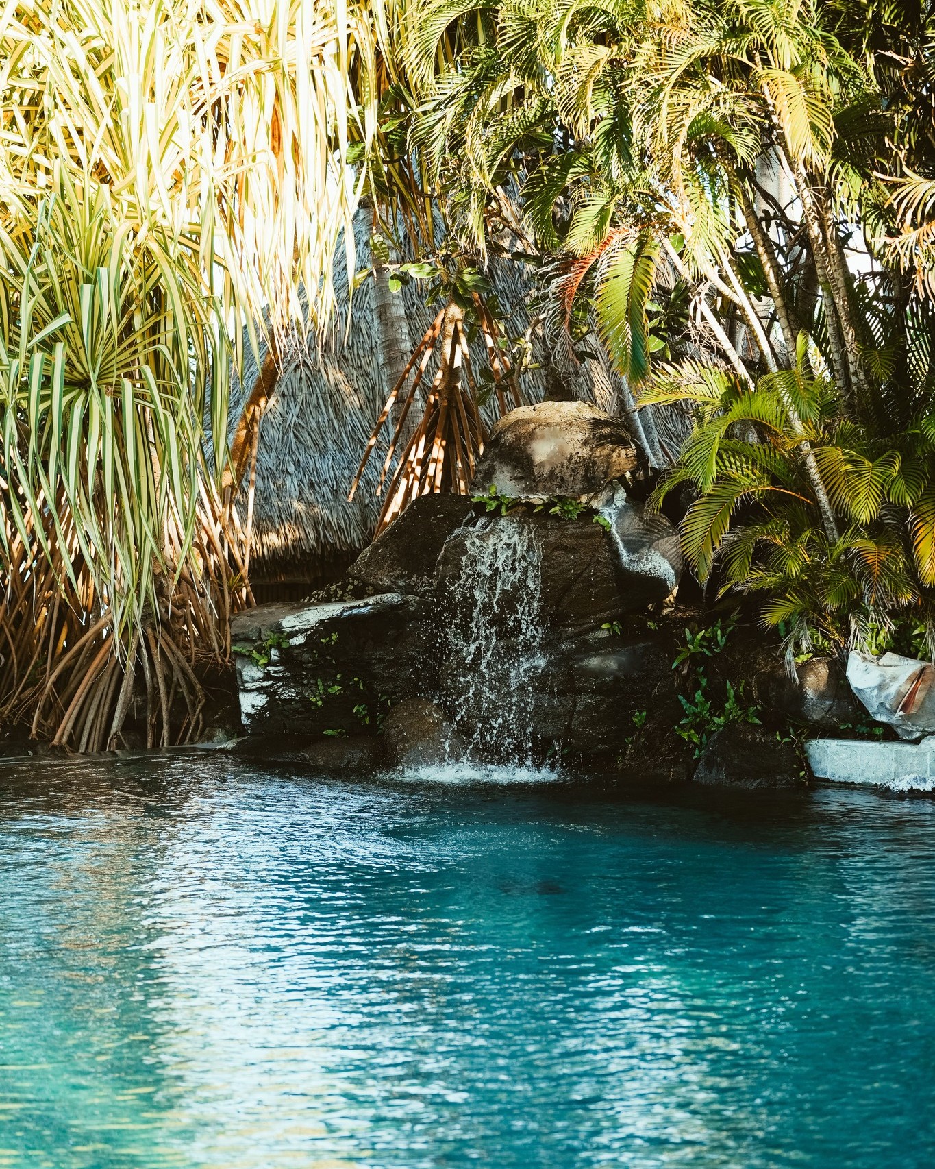 El sonido del agua al caer. El verde que lo envuelve todo. El azul que invita a perderse.
En la Polinesia Francesa, la naturaleza no espera: lo abraza desde el primer instante.
Cierre los ojos. Ya está aquí.
✦
The sound of falling water. Green that envelops everything. Blue that beckons you in.
In French Polynesia, nature doesn't wait — it embraces you from the very first moment.
Close your eyes. You're already there.
📷 @emmatournier_ @ic_boraboralemoana
#MoemoeaTravel #PolinesiaFrancesa #FrenchPolynesia #BoraBora #TropicalNature #Waterfall #IslandLife #NatureImmersion #SlowLuxury #BespokeTravel #LoveTahiti #ParadiseFound