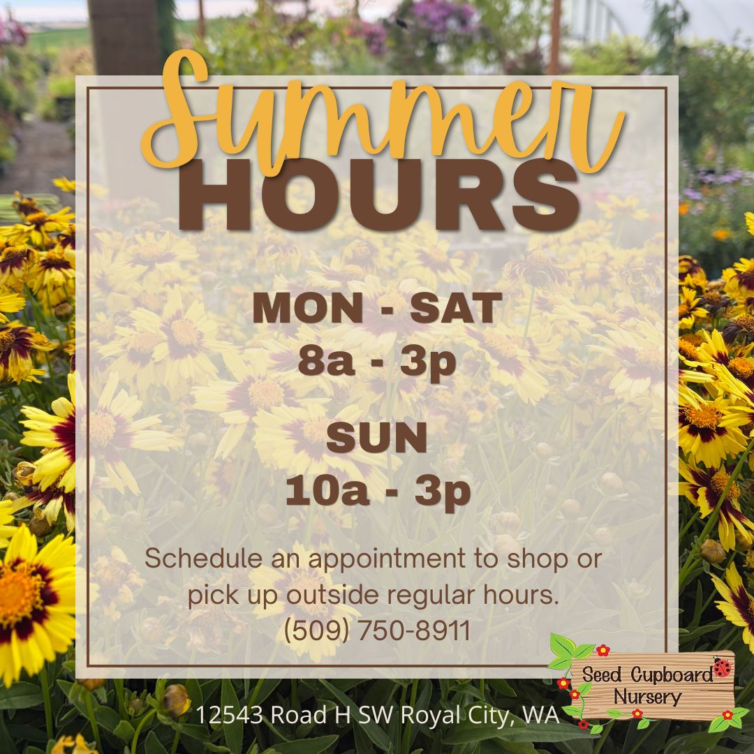 ๐ Summer hours start today so we can keep you and our team safe from the high temps this summer!