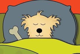 DOG SITTER NEEDED AUGUST LONG WEEKEND .......Wanna have a fun doggy sleepover with a bunch of cool dogs?
Langley, BC …Looking for a competent dog sitter to stay and look after the Karma Farm foster dogs in while I am out of town for the August long weekend. I am leaving on Thursday July 30th and coming back on Monday August 3rd.
Per diem paid for 5 days. Please share if you can.
Thanks in advance.
Karen