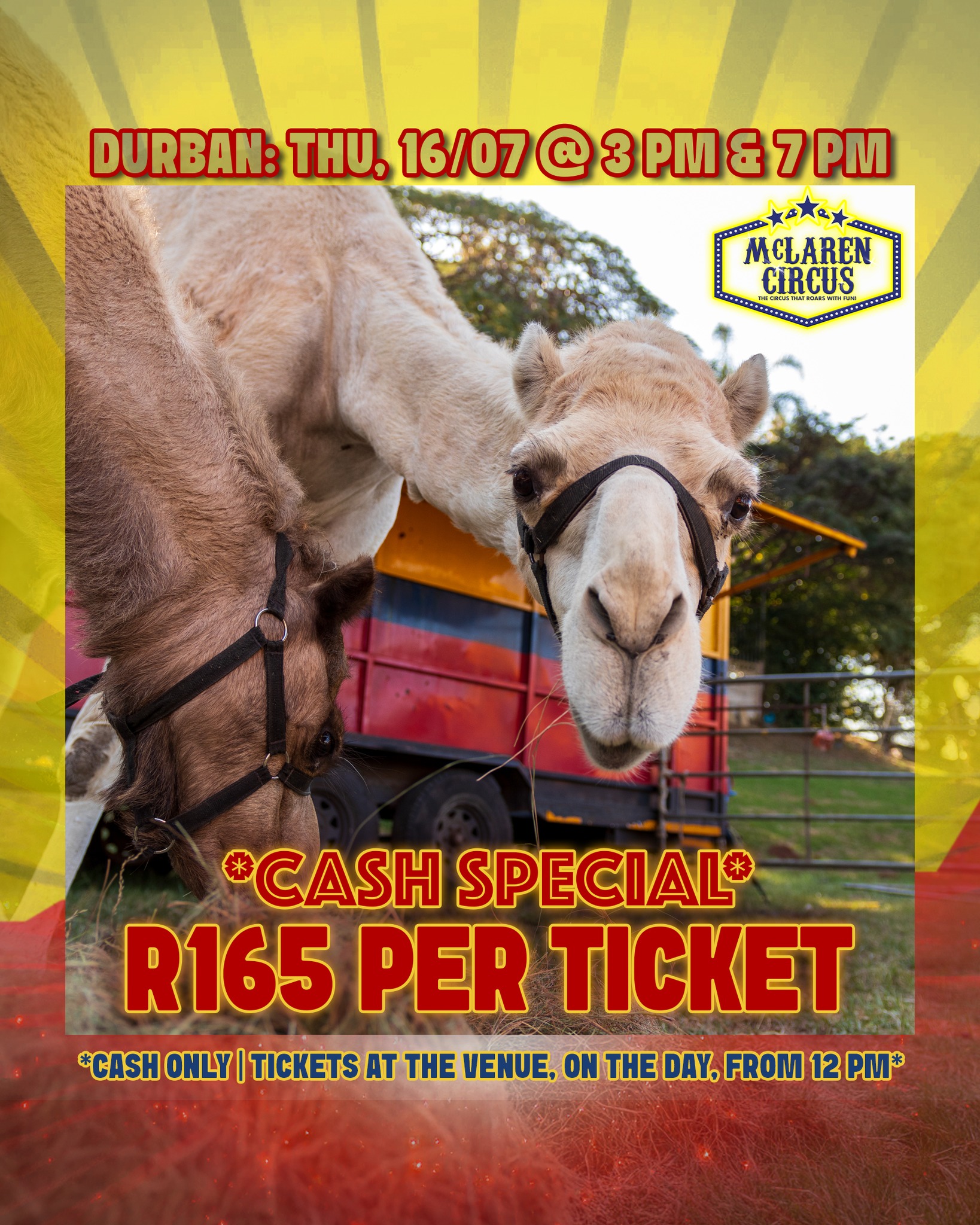 🤹♂️ SPECIAL: Any seat, only R165 each! 🎟️✨
🎪 Step right up to the greatest show in #Africa!
Only valid:
📅 Thu, 16 July 2026 @ 3 PM & 7 PM - #DURBAN
🎟️ Hurry, these seats are unreserved and sell fast! Tickets are CASH ONLY and are available, at our ticket office, from 12 PM on the show day.