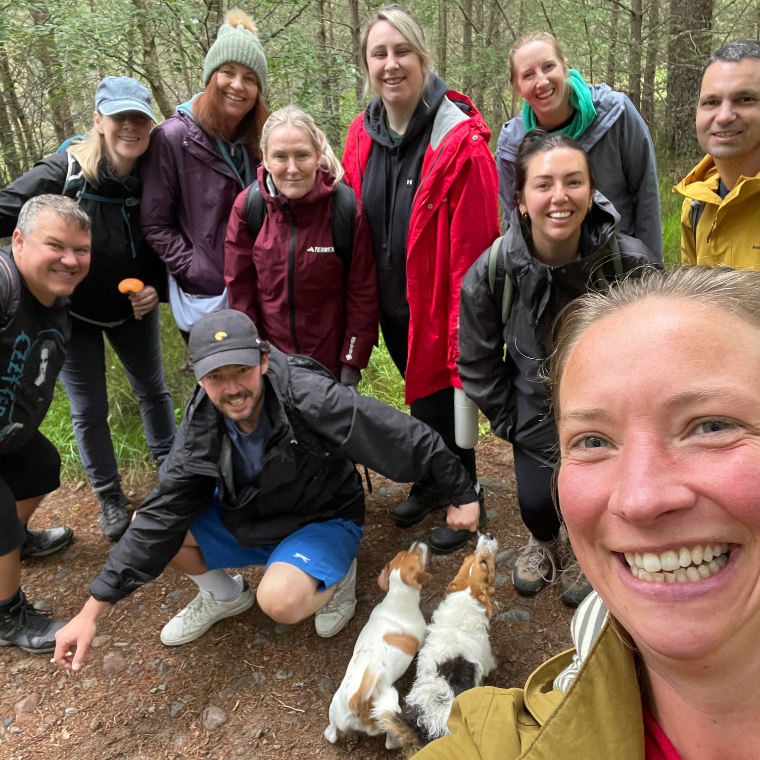 Fabulous forage 🍄
What an amazing day out I had with staff from @swoopantarctica @swooppatagonia on Saturday. Our foraging walk was part of the company's annual gathering, this year held in the heart of the @cairngormsnationalpark at @glenmorelodge
We had a nice circular route up to An Lochan Uaine and managed to find lots of edible and medicinal plants and fungi on the way. The absolute highlight of the day which had me doing a wee happy dance and properly geeking out was the discovery of a fungi species which is rare in the UK, sadly due to habitat decline. Picture no. 2 is of the bleeding tooth mushroom (Hydnellum pekii). Somewhere between hideous and incredibly beautiful...this one is not for picking in the UK due to its rare status.
Such a joy to be wandering through this ancient woodland with a lovely bunch of folks and of course Sorrel and Kelpie the furry wee foraging buddies 🐶 We returned with fingers blue from blaeberry picking and heads and hearts full of the joys of our natural world.
.
.
.
.
.
.
#foraging #foragingcourses #scotlandswildmedicine #wildmushrooms #bleedingtoothfungus