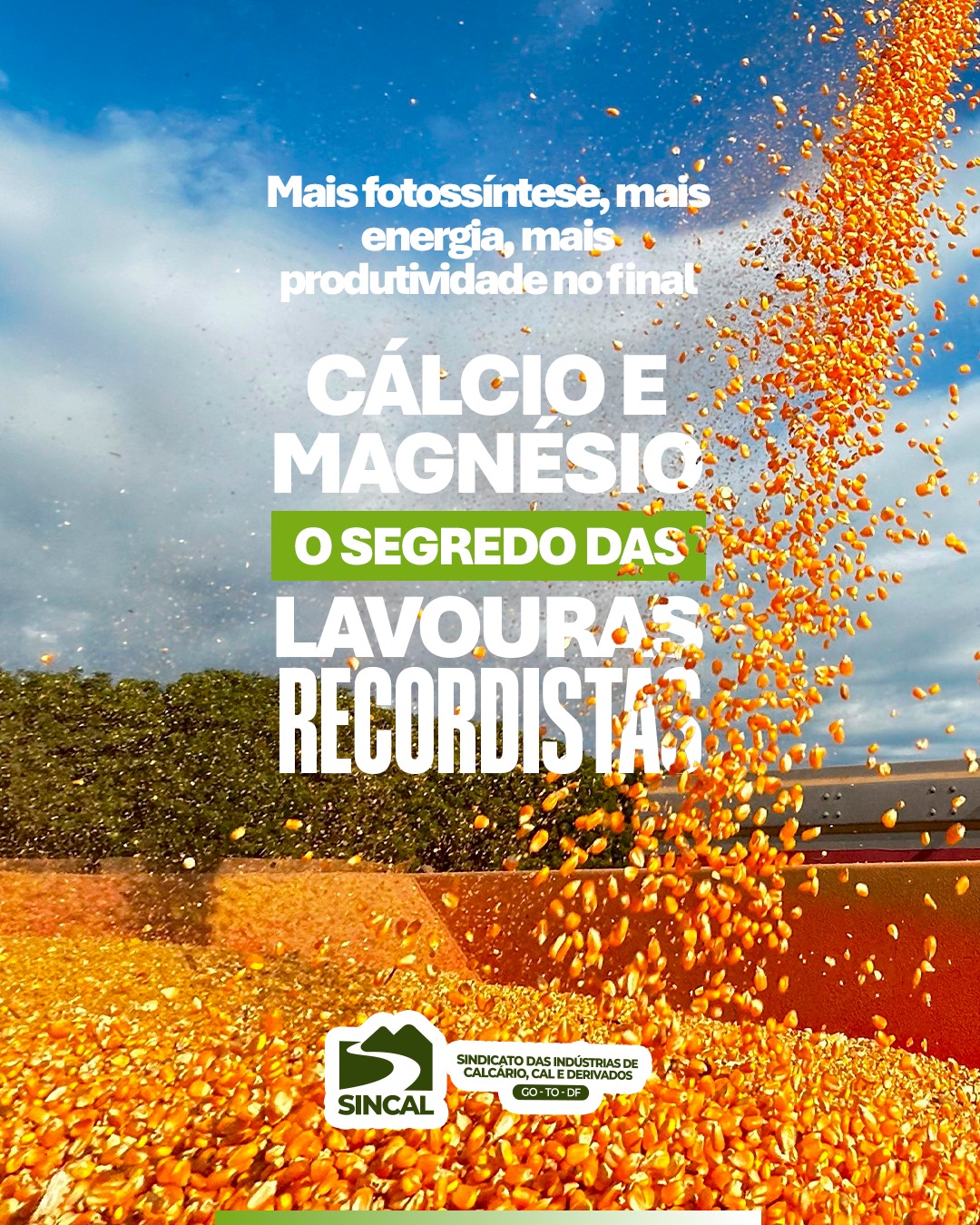Nutrição de verdade começa no solo. Garanta cálcio e magnésio na medida certa.