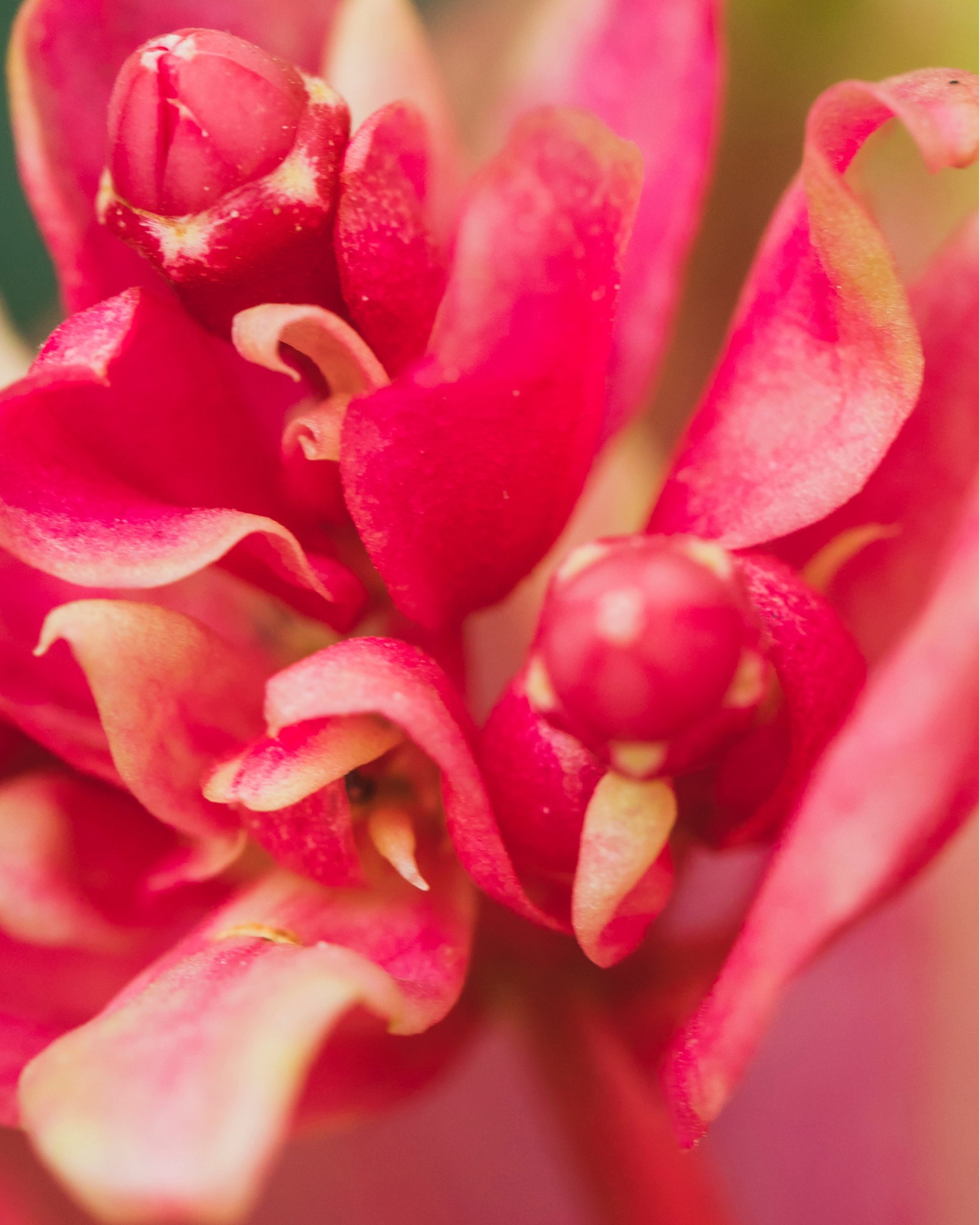A touch of spice, soft florals, and refreshing energy creating an ambience that feels both inviting and uplifting.
Experience the full scent collection at BloomAire.
#BloomAire #AromaDiffuser
