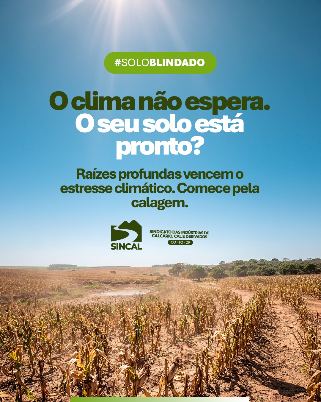 Prepare sua lavoura para qualquer cenário. Solo corrigido é solo blindado.