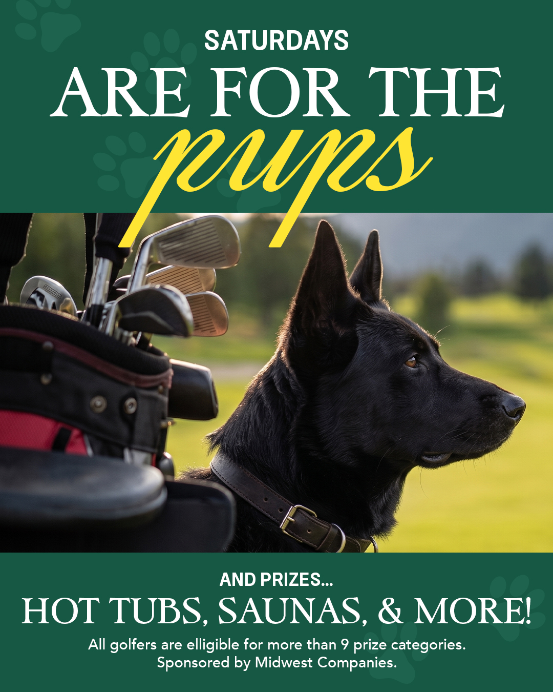 Saturdays are for the pups... and the prizes. πΎπ Putts 4 Pups golfers are eligible for more than 9 different prize categories, and thanks to our friends at Midwest Companies, a hot tub and sauna!! Every golfer has a shot at winning something while helping HSNWIA support animals in need.
Time is running out! Click the link in our bio to register your team before spots fill up!