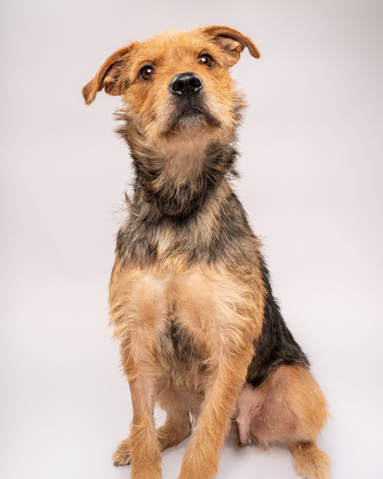 𝐁𝐚𝐝 𝐍𝐞𝐰𝐬: you still don't own a pet. 𝐆𝐨𝐨𝐝 𝐍𝐞𝐰𝐬: we can fix that.
Catch us 𝐓𝐎𝐌𝐎𝐑𝐑𝐎𝐖 (𝐉𝐮𝐥𝐲 𝟏𝟖) 𝐟𝐫𝐨𝐦 𝟏𝟎 𝐀𝐌–𝟑 𝐏𝐌 at @petsmart 𝐋𝐚𝐤𝐞 𝐖𝐨𝐫𝐭𝐡,where Pippin, Daisy, and a whole squad of adoptable besties will be patiently waiting to convince you that your couch actually belongs to them.
Come "just to look." We support delusion. 🤍
𝐂𝐚𝐧'𝐭 𝐦𝐚𝐤𝐞 𝐢𝐭? No worries! Browse all of our adoptable pets on our website
#AdoptDontShop #RescuePet #PetAdoption #ForeverHome #petsmartcharities @petsmartcharities