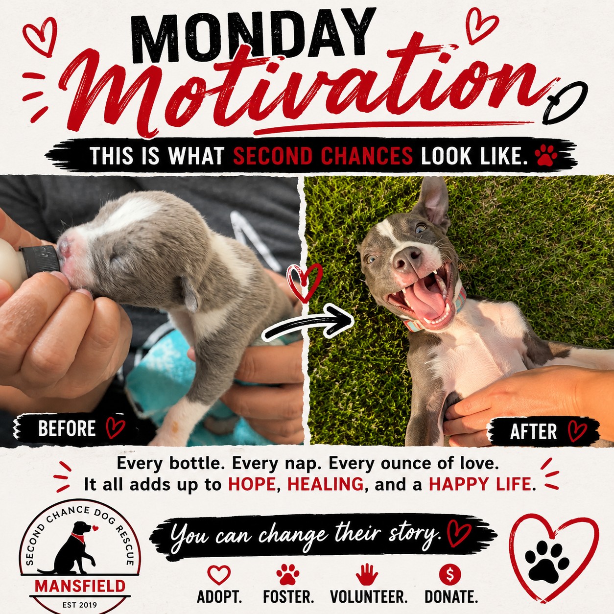 💛 Monday Motivation 💛
A few months ago, many of you met Mishka.
She was just a tiny bottle baby, found all alone in the middle of the road. Eyes barely open. Completely dependent on humans for every bottle, every feeding, every ounce of warmth and care.
Today...
Look at her.
That smile says everything. ❤️
She'll never know what it's like to be hungry again.
She'll never wonder if someone is coming back for her.
She'll never have to fight to survive another day.
Instead, she's exactly where every animal deserves to be—safe, cherished, and absolutely spoiled in her forever home.
This is why we keep going.
🐾 This is why we answer the late-night calls.
🐾 This is why we bottle-feed every few hours.
🐾 This is why we advocate for spay and neuter.
🐾 This is why we educate.
🐾 This is why we never stop fighting for animals who can't speak for themselves.
Every adoption creates room for another life to be saved. Every foster, volunteer, donor, and supporter becomes part of stories just like Mishka's.
Because every animal deserves the chance to go from simply surviving... to smiling like this.
This is what second chances look like. ❤️
#SecondChanceDogRescue #MondayMotivation #AdoptDontShop #RescueWorks #SpayAndNeuter #SecondChances #ForeverHome #SCDRM #LikeFollowShare #LikeAndShare #fosteringsaveslives #texas #rescuedismyfavoritebreed #adoptdontshop #doglover #dogs