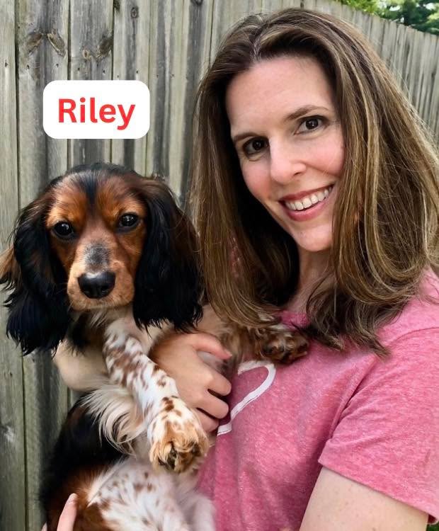 It’s been a minute since our last happy tails update, but these 5 pups were well worth the wait. Swipe to see their fresh starts! ➡️ 👇
🏠 Riley (4yo) • FOSTER FAIL! — After 4 months of rejections for his barking and reactivity, his foster mom realized "perfect" wasn't a big yard in the country—it was right with her. He’s officially home! 💙
🐶 Maddie (10yo) — Lost her home due to a divorce, but found her perfect match in a couple whose hearts were ready to love a senior again after losing their own. 💖
👑 Bella (1.5yo) — From stray, to shelter, to getting evicted by resident cats... her journey was a ride. But today? She’s living her best life as her new dad’s VERY first adult pet! 🌸
✨ Bijou (10yo) — Surrendered when her owner fell on hard times, this sweet girl is now living like royalty. Her new mom’s take? "She’s the most perfect dog ever—if we could clone her, we would!" 👑
🐾 Jinx (8mo) — Arrived at the shelter so terrified she nipped a staff member. Fast forward through some foster home TLC, and she’s now thriving with her new dad and big doggy sister, Heidi! 💖
We promise not to wait another eternity for the next update! Drop a ❤️ in the comments to congratulate our new alumni! 👇
#AdoptDontShop #RescueDogSuccess #HappyTails #SeniorDogsRule #FosterFail #BetterLateThanNever #fosteringsaveslives #rescuedismyfavoritebreed #smallbreedrescue #dachshundrescue #sgfrescue #sophiasgracefoundation