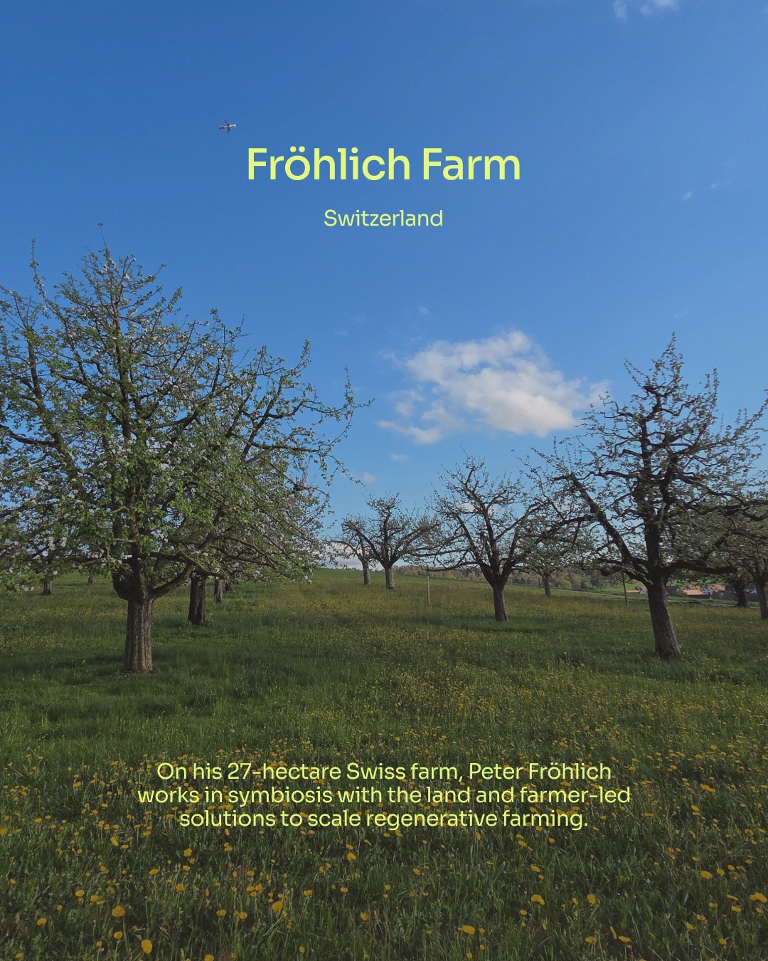What if a perfectly ploughed and sterile field is actually a dead one?
Peter Fröhlich and his Fröhlich Farm are shaking up agriculture methods right from the Swiss countryside. Instead of chasing sterile aesthetic perfection, he has turned Fröhlich Farm into a dynamic living laboratory, a playground where the future of farming is tested, tracked, and redefined.
Step onto the land, and you’ll find Angus cattle, a thriving market garden, and wild, diverse fields bursting with grains, fruits, and legumes.
But the real magic happens beneath the surface. Forget fighting nature.
Fröhlich Farm is all about working in total symbiosis with the soil microbiome.
As Peter puts it: “The goal is to have people understand that there is no artificial atom on our planet and that we need to work for our best microbiome. This does not happen if we kill everything.”
🔗Follow the link in @top50farmers bio to dive deeper into the inspiring story and discover how Fröhlich Farm is exploring, measuring and validating the future of agricultural technologies.
✍️ Written by @top50farmers and @lienbacher.design
#top50farmers #PeterFröhlich #top50farmers2026 #FröhlichFarm #t50f2026 #T50F #regenag #regenerativeagriculture #regenerativefarming #soilhealth #knowyourfarmer #futureoffarming #europe #switzerland