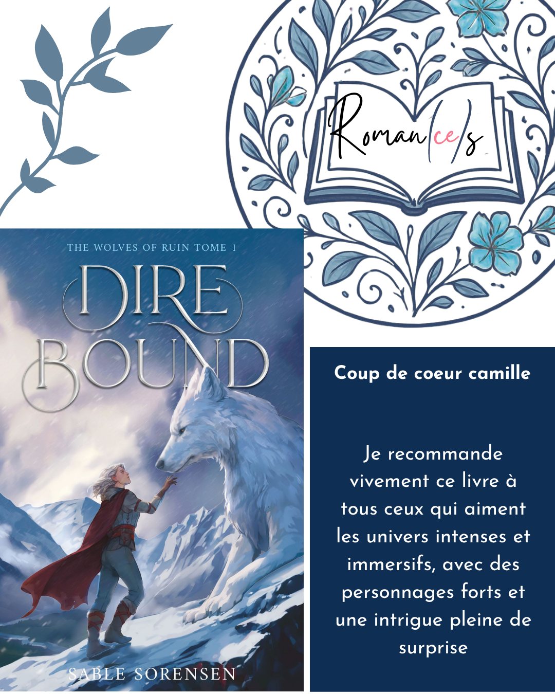 Premier coup de coeur du projet romance : Dire Bound de @sablesorensen publié aux editions @hachettefr
#coupdecoeur #romance #librairieindépendante #aventure #projet