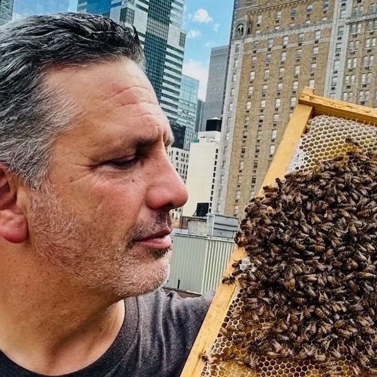 🐝 National Urban Beekeeping Day may have come and gone, but our excitement hasn't!
We recently welcomed Andrew Coté as Planet Bee's newest beekeeper, and honestly, it felt like the perfect moment to brag a little.
Andrew is the founder of the New York City Beekeepers Association, and for years he's helped city dwellers realize that skyscrapers and honeybees can absolutely coexist. His work has educated and inspired beekeepers around the globe, proving you don't need acres of countryside to make a difference for pollinators .
Urban apiaries like the ones Andrew champions support pollinator health, strengthen local ecosystems, and connect city communities with nature, right outside their window.
Welcome to the hive, Andrew! We're so glad you're here. 🐝💛
Learn more about Andrew and his work on our website!
#PlanetBee #UrbanBeekeeping #SaveTheBees #Pollinators