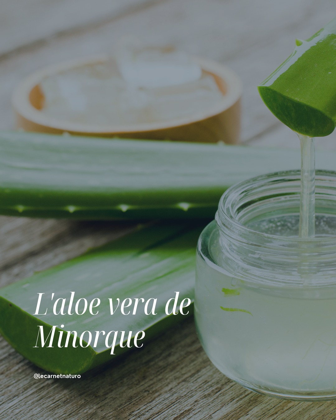 🌿 Les Escales Naturo – Minorque
S'il y a bien une plante qui m'a été indispensable pendant notre escale à Minorque, c'est l'aloe vera.
Entre les baignades, les balades et le soleil, ma peau avait besoin d'un peu de réconfort.
J'ai donc ressorti un incontournable de ma trousse de naturopathe : le gel d'aloe vera.
Cette plante est connue pour son gel naturellement riche en eau. Appliqué sur la peau, il procure une agréable sensation de fraîcheur, particulièrement appréciée après une exposition au soleil.
C'est un produit que j'aime toujours avoir avec moi : il prend peu de place et sert très souvent pendant les voyages.
💚 Mon conseil naturo
Choisis un gel contenant un pourcentage élevé d'aloe vera et peu d'ingrédients ajoutés. Pour encore plus de fraîcheur, conserve-le au réfrigérateur : c'est très agréable après une journée en plein soleil.
Depuis notre départ en voilier, il fait partie de nos indispensables à bord.
💬 Et toi, quel est LE produit que tu emportes toujours en vacances ?
#LesEscalesNaturo #Minorque #AloeVera #Naturopathie #VieEnVoilier #VoyagerAutrement #SantéAuNaturel #Été #Peau #MéthodeSNR