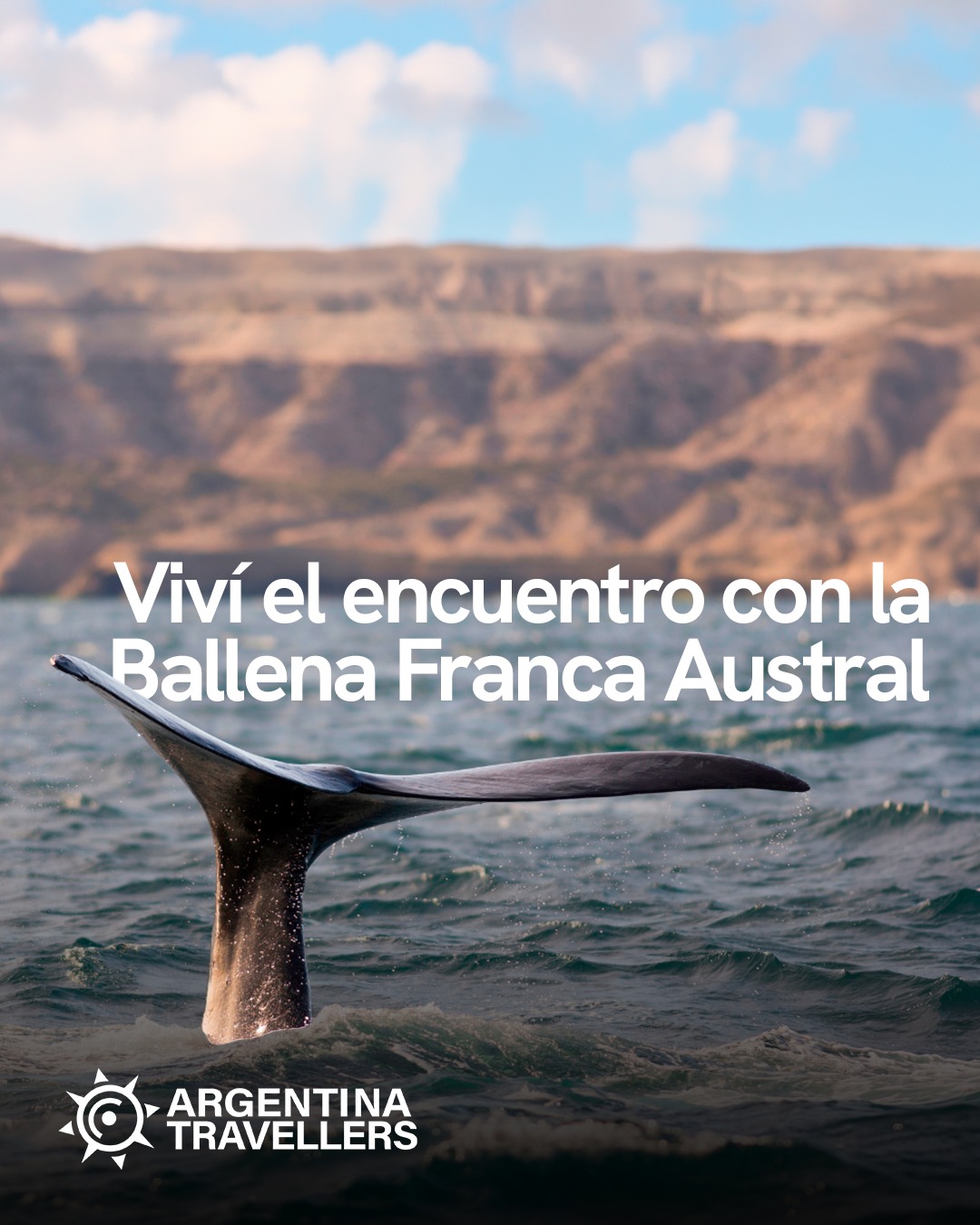 🐋 Hay experiencias que solo la naturaleza puede regalar.
Puerto Madryn es uno de esos destinos donde cada encuentro sorprende: el avistaje de la Ballena Franca Austral, las colonias de pingüinos, los lobos marinos y los paisajes únicos de la costa patagónica convierten cada día en una experiencia inolvidable.
Si soñás con descubrir la Patagonia desde una perspectiva diferente, este viaje es para vos.
✨ Fauna marina.
🌊 Paisajes increíbles.
📸 Momentos que vas a recordar para siempre.
📩 Escribinos y conocé todos los detalles de esta experiencia.
#ArgentinaTravellers #PuertoMadryn #PatagoniaArgentina #BallenaFrancaAustral #PenínsulaValdés #AvistajeDeBallenas #VisitArgentina #TravelArgentina #Naturaleza #ViajarPorArgentina
